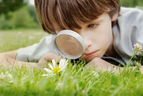 child examining flower with magnifying lens